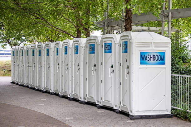 Portable Toilet Options We Offer in Buhl, MN